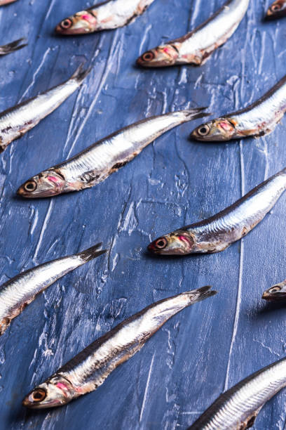 istock Fish pattern. Fresh anchovies on blue 1156940665