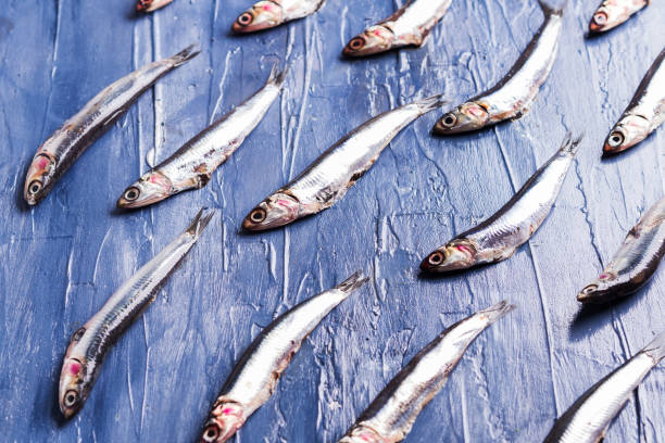 Fish pattern. Fresh anchovies on blue
