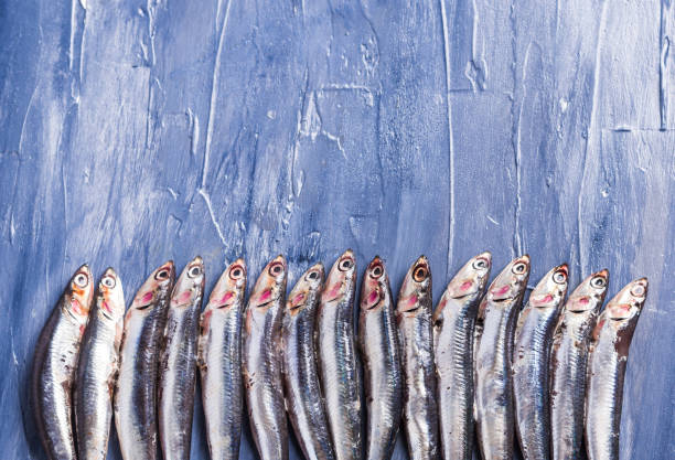 istock Fish pattern. Fresh anchovies on blue 1156940676