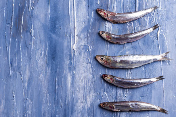 istock Fish pattern. Fresh anchovies on blue 1156940704
