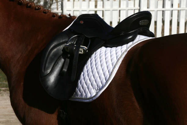 屋外サドルの下で競技中の港馬のクローズアップ - saddle shoes ストックフォトと画像