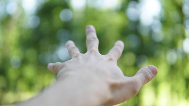 istock Male hand gesture closeup isolated on a forest background 1156941932