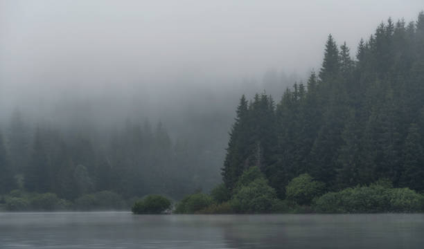 istock Misty mountain lake after sunrise 1156942035