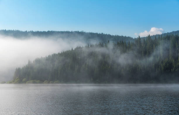 istock Misty mountain lake after sunrise 1156942216