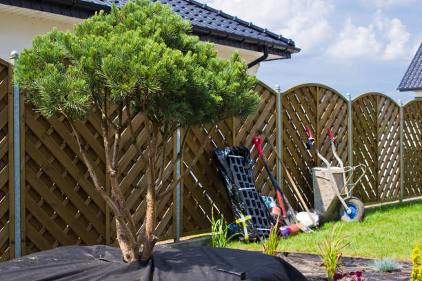 istock Making new home garden decorations, planting evergreen trees and creating decorative stone bed. 1156942466
