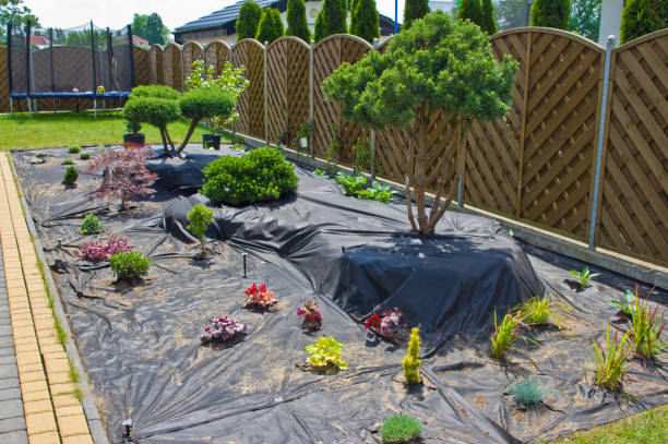 istock Making new home garden decorations, planting evergreen trees and creating decorative stone bed. 1156942795