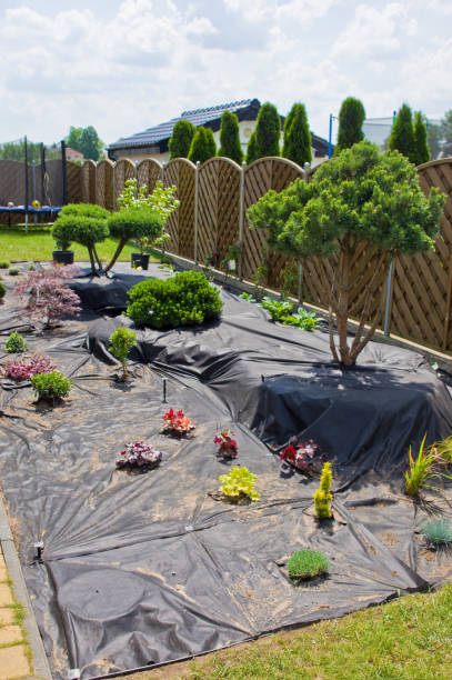 istock Making new home garden decorations, planting evergreen trees and creating decorative stone bed. 1156943519
