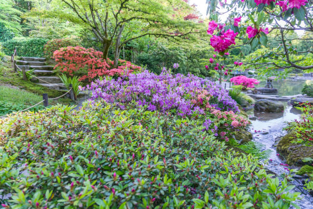 istock Lush Colorful Flower Garden 1156945268