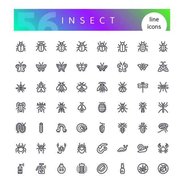 Insect Line Icons Set Set of 56 insects, bugs, butterflies, spiders, mites, worms and repellents line icons suitable for web, infographics and apps. Isolated on white background. Clipping paths included. myriapoda stock illustrations
