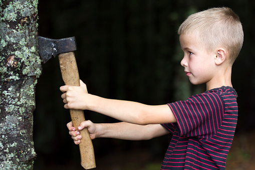 Niño pequeño con hacha de hierro pesado que corta el triunfo árbol en el bosque el día del verano. Actividades al aire libre y trabajo físico. photo