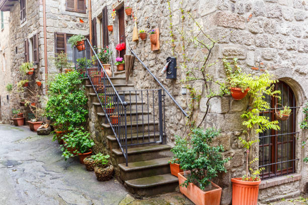 istock Green plants on a staircase on a backyard 1156952383