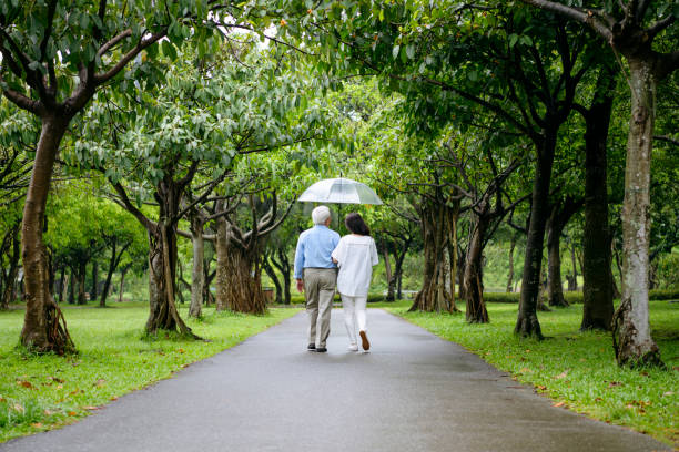 Senior man and woman walking along avenue under umbrella, protection, nature, relaxation