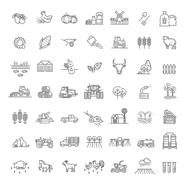 ilustraciones, imágenes clip art, dibujos animados e iconos de stock de conjunto de iconos de líneas agrícolas y agrícolas - tractor green farm corn