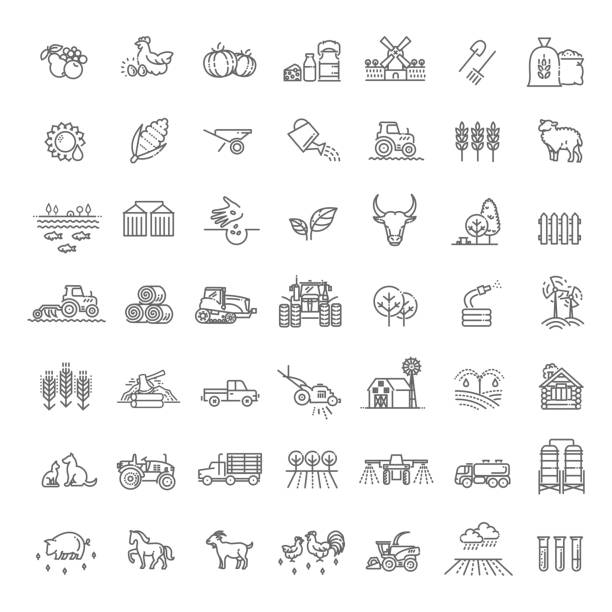 Set of Agriculture and Farming Line Icons vector line icons. Agriculture and Farming icons farm icons stock illustrations