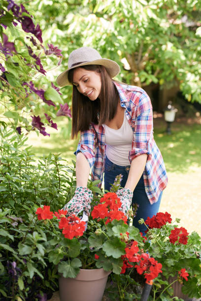 istock Woman pruning flowers in backyard. 1156969852