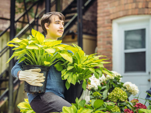 Teen Boy Volunttering in garden