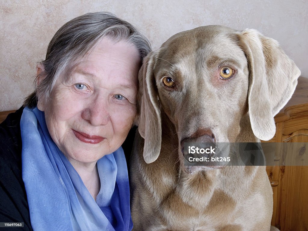 Senior woman and dog Senior smiling woman and dog indoors 70-79 Years Stock Photo