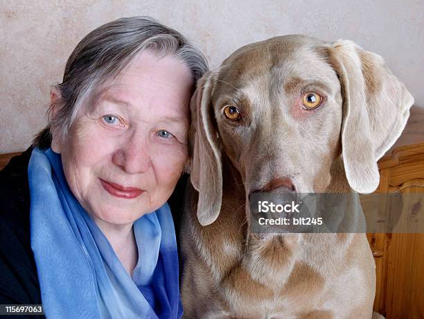 Senior Woman And Dog Stock Photo - Download Image Now - 70-79 Years, Active Seniors, Adult