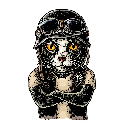 Cat with crossed paws dressed in the helmet and glasses. Vector hand drawn color vintage engraving. Isolated on white background. For poster and t-shirt biker club.