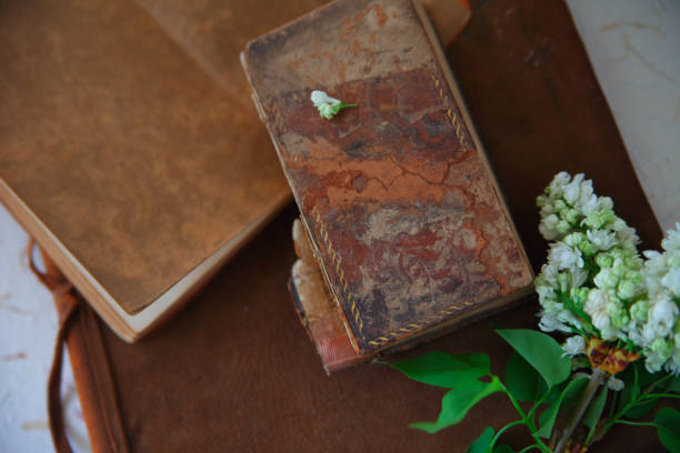 istock Vintage books with white lilacs 1156976617