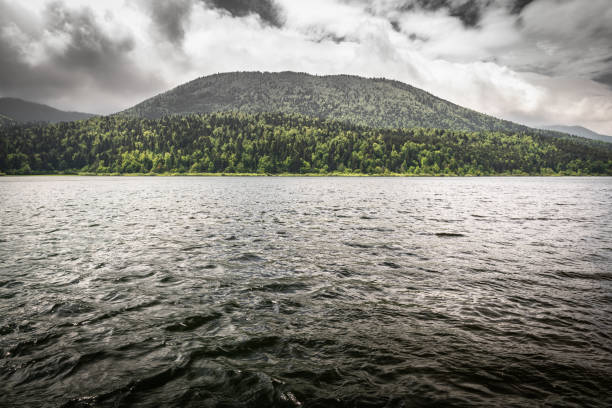 vue panoramique spectaculaire sur le beau lac intermittent cerknica, avec l'eau, la saison de source, la slovénie - lake cerknica photos et images de collection