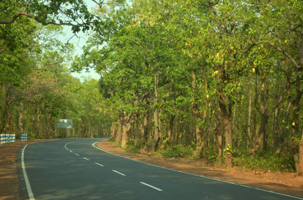 istock beautiful development of highway road in forest in birbhum 1156987080