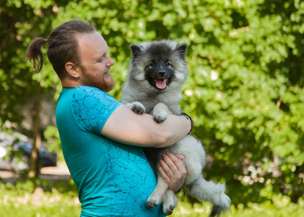 istock Young man and keeshond puppy 1156987482