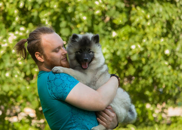 istock Young man and keeshond puppy 1156987504
