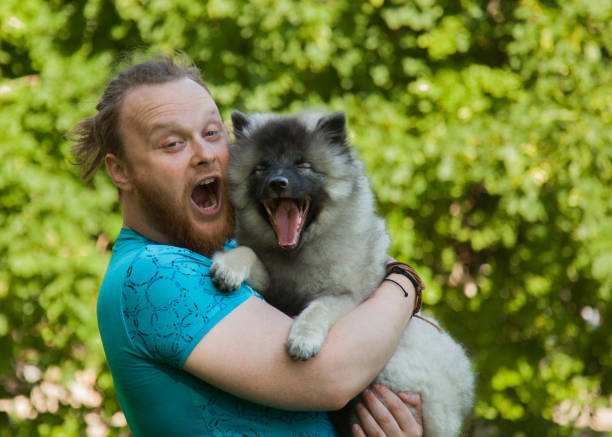 istock Young man and keeshond puppy 1156987576