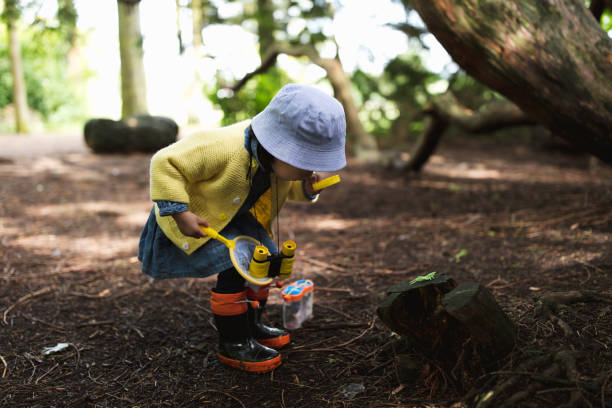 toddler girl playing exploration in spring park