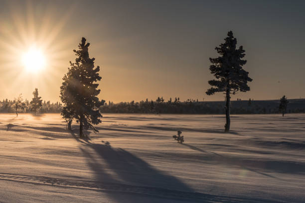 istock A taste of winter 1156995068