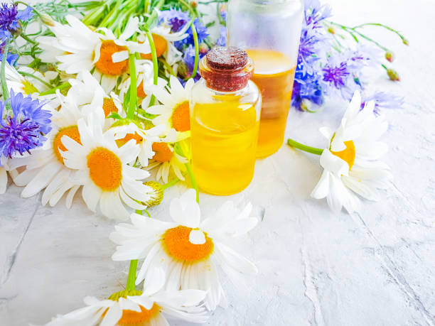 istock chamomile flower oil, cornflower on gray concrete background 1156995188