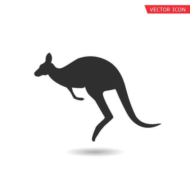 ilustraciones, imágenes clip art, dibujos animados e iconos de stock de icono vectorial de canguro - kangaroo