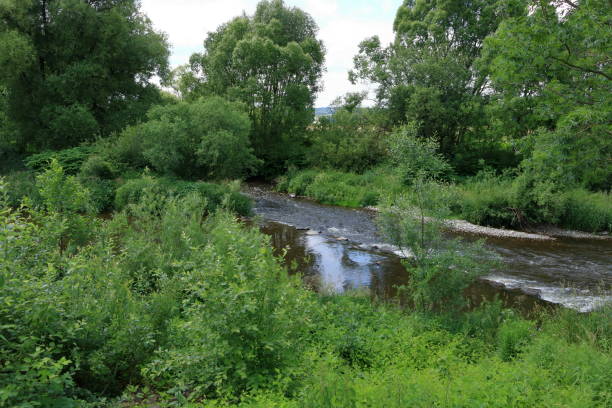 istock The small river Zschopau in Frankenberg/Saxony 1157000635
