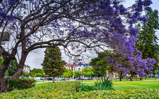 istock Golden west college. 1157002271