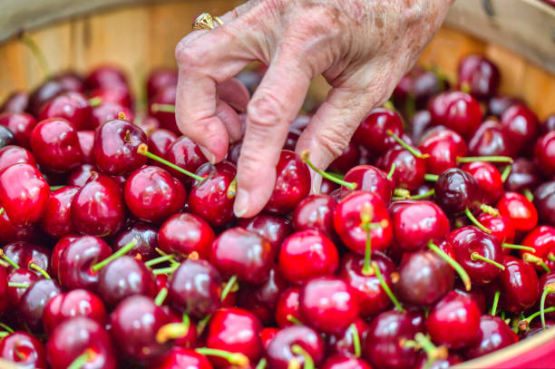 farmer's market cherries