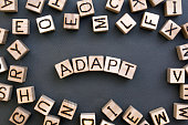 the word adapt wooden cubes