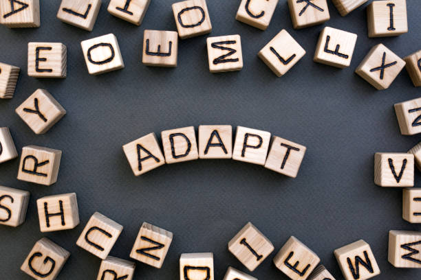 the word adapt wooden cubes the word adapt wooden cubes with burnt letters, adaptation in the new team, gray background top view, scattered cubes around random letters adaptation concept stock pictures, royalty-free photos & images