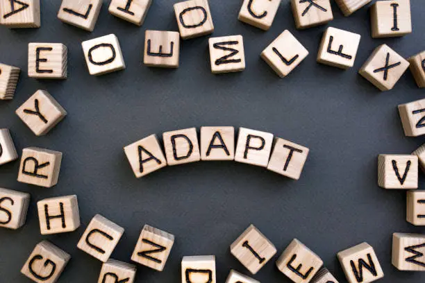 Photo of the word adapt wooden cubes