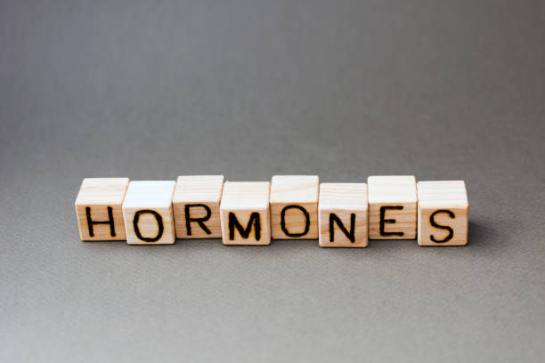 istock the word hormones wooden cubes 1157005801