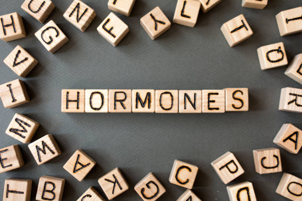 istock the word hormones wooden cubes 1157006144