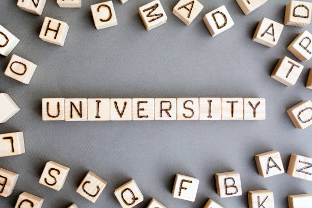 istock the word university  wooden cubes 1157006226