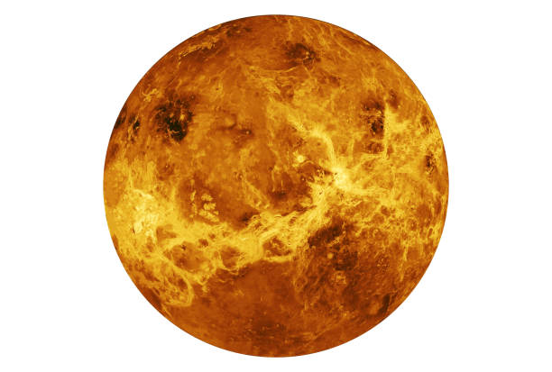 istock The planet Venus is entirely isolated on white background. Elements of this image were furnished by NASA 1157008053