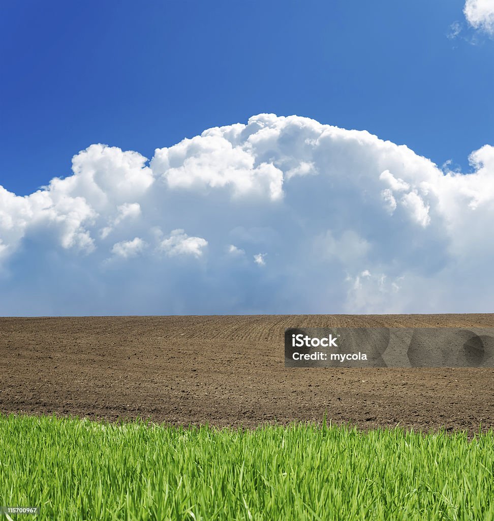 paisaje - Foto de stock de Agricultura libre de derechos