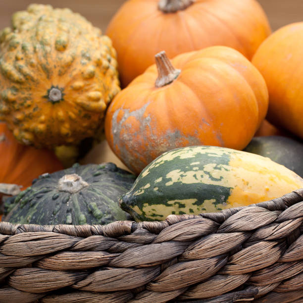 istock ripe pumpkins in a basket 1157011695