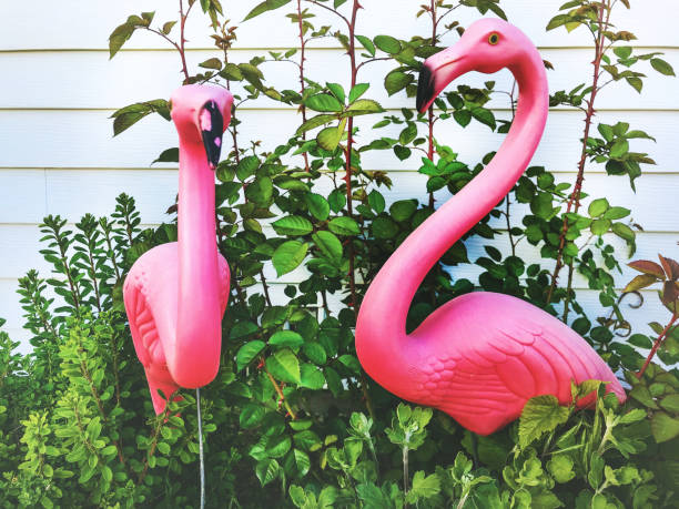 istock Plastic Pink Flamingo Lawn Ornament Birds Pair 1157012617
