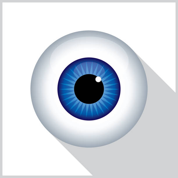 Blue Eyeball Shadow Icon Vector illustration of a blue eyeball with a shadow on a white background with a gray border. eyeball stock illustrations