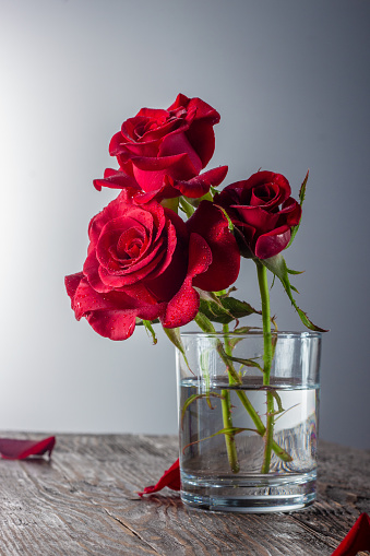 Red rose in vase on old wooden, Vintage style