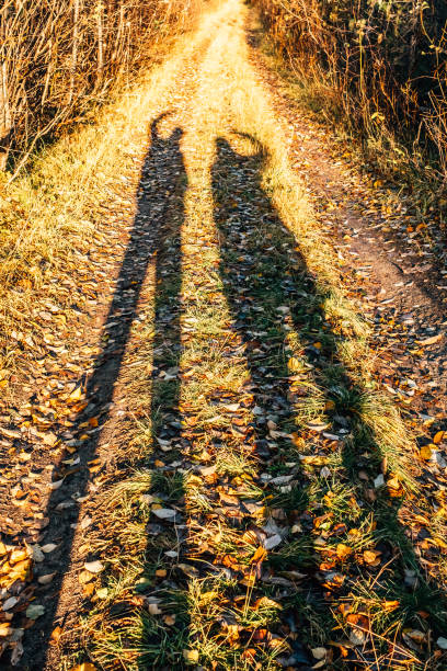 People shadows on the road. Sunlight coming from the back. Two young people's silhouette standing on the forest road