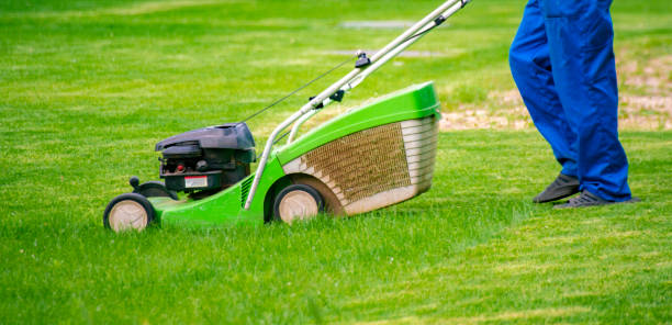 istock gardener worker cutting grass with mower in the backyard lawn fields 1157017420